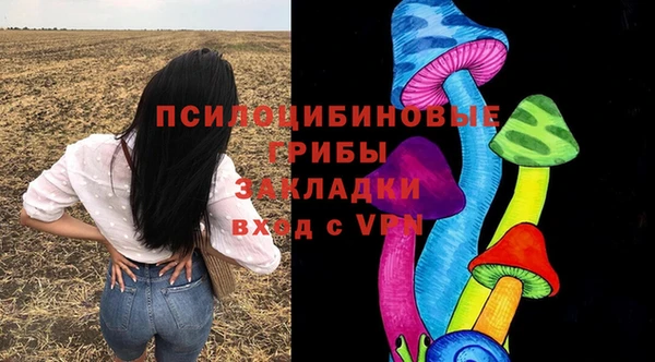 герыч Алзамай