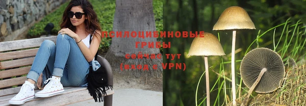 метадон Алексин