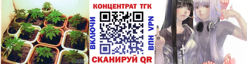 гидра онион  Нарьян-Мар  ТГК THC oil  купить наркоту 