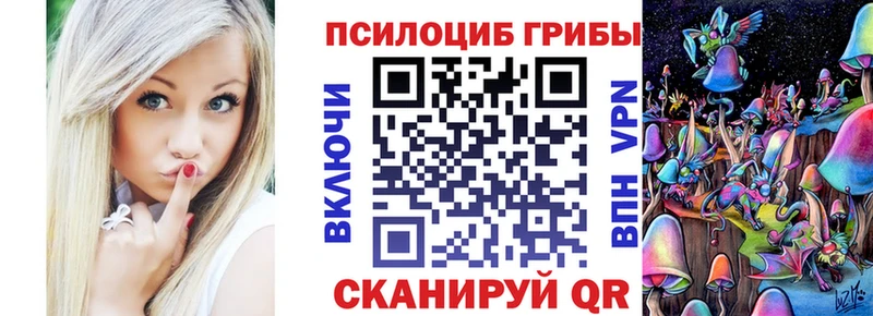 Псилоцибиновые грибы Psilocybe закладки Нарьян-Мар