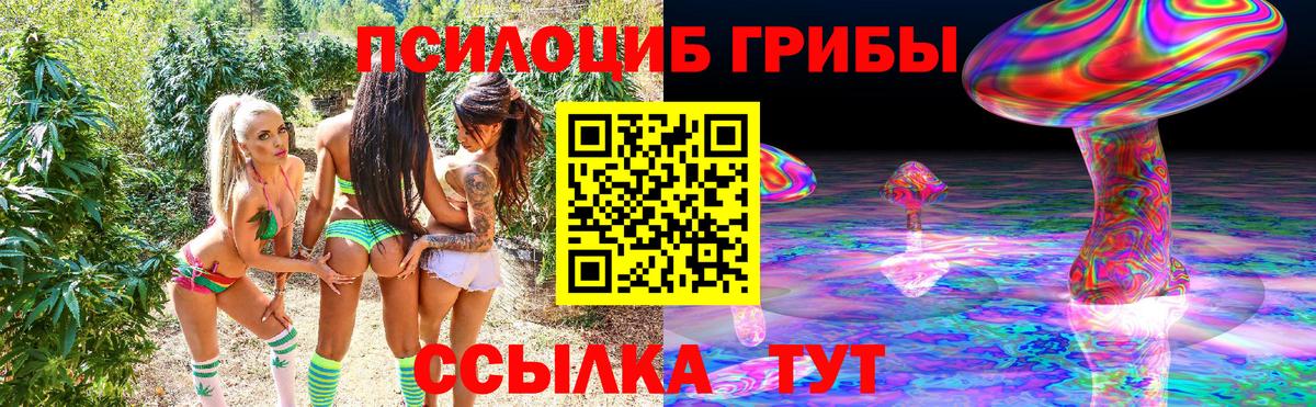 Псилоцибиновые грибы Cubensis  продажа наркотиков  Псилоцибиновые грибы GOLDEN TEACHER  Нарьян-Мар  Вход с VPN 
